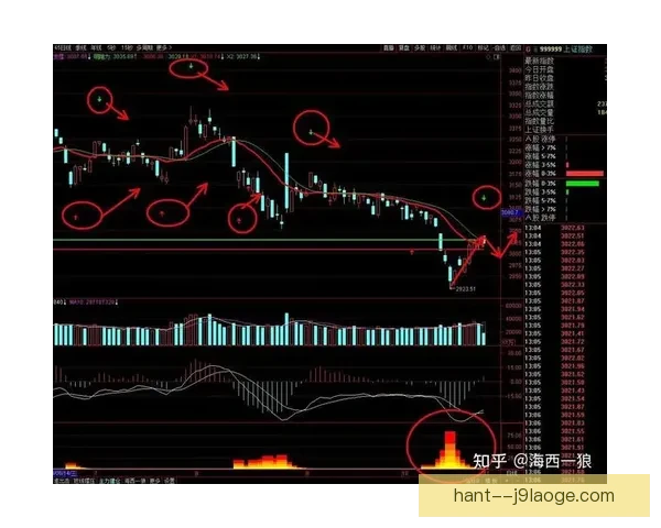 阿尔瓦雷斯对阵切尔西表现解析揭示法甲回暖关键信号背后逻辑与趋势价值